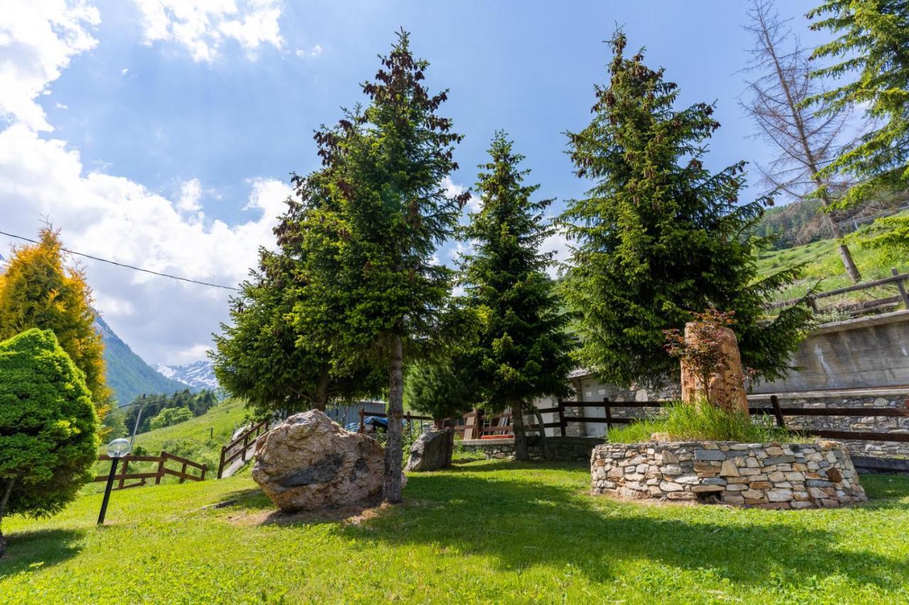 Hotel Des Alpes Saint-Rhemy-En-Bosses Dış mekan fotoğraf